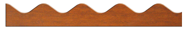 Бутылочница 2